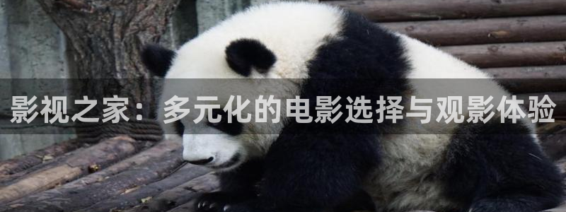 蓝莓电影：影视之家：多元化的电影选择与观影体验