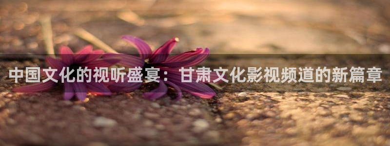 蓝莓影院免费观看电视剧推荐