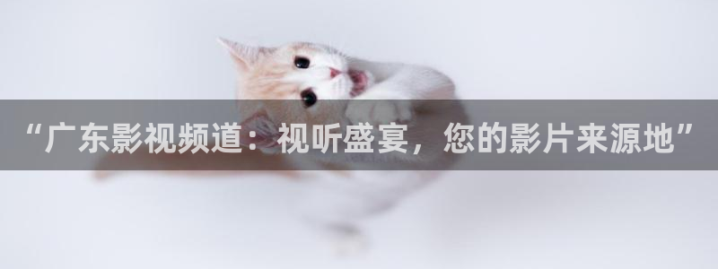 蓝莓上尉电影：“广东影视频道：视听盛宴，您的影片来源地”