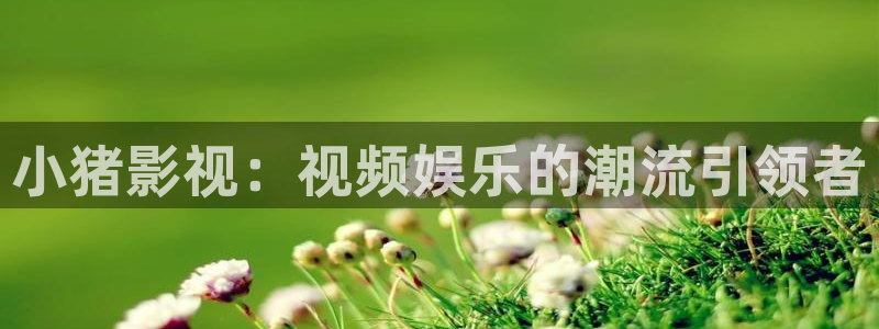 免费观看电影蓝莓：小猪影视：视频娱乐的潮流引领者